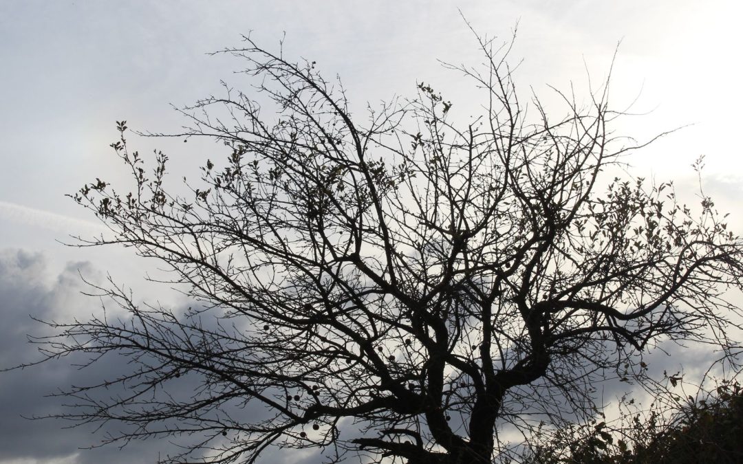 Participamos en el acto por el Día Internacional del Superviviente por Suicidio